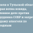 Утренний дайджест «Тульских новостей»: ДТП с пьяным росгвардейцем, спасение моржей и раздельный сбор мусора - ИА Тульские новости
