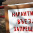В Белевском районе две деревни закрыли на карантин - Myslo.Ru