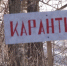 Две деревни в Белевском районе закрыли на карантин из-за вспышки АЧС - ИА Тульские новости