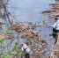 Разлив дизельного топлива ликвидирован на Любовском водохранилище в Новомосковске - Молодой Коммунар