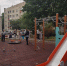 О новых общественных пространствах и ликвидации старых деревьев - Myslo.Ru