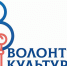 Туляки могут стать волонтерами на Дне города - ИА Тульская служба новостей