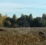 Под Тулой улетели в кювет три легковушки - Myslo.Ru