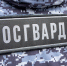 Росгвардейцы задержали дебошира в магазине Тулы - ИА Тульская служба новостей