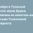 16 ноября в Тульской области: муки Дудки, миллионы на алкоголь для КБП и письмо Толкачевой президенту - ИА Тульские новости