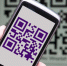 В Тульской области в конце 2021 года завершится эксперимент с QR-кодами - Myslo.Ru