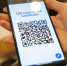 Родители просят пустить их на утренники в тульских школах и детсадах по QR-кодам - ИА Тульская служба новостей