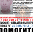 В Ефремове пропал 47-летний мужчина - ТК Первый Тульский