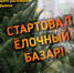 Новомосковский рынок открывает елочный базар - ИА Тульская пресса.Ru