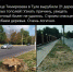 «Зачем сажать деревья под провода?»: туляков волнует судьба саженцев на улице Тимирязева - Myslo.Ru