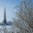 На новогодних каникулах туляков приглашают на Куликово поле - Молодой Коммунар