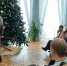 «Рождественский концерт» в Богородицке - Тульское музейное объединение