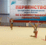 Тульские гимнастки в десятке сильнейших на Первенстве ЦФО - Министерство спорта