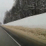 Под Тулой косуля вошла в дрифт на трассе и попала на видео - Myslo.Ru