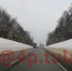 Под Тулой косуля выбежала на дорогу  и чуть не попала под колеса автомобиля - ТК Первый Тульский