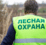 Уникальных соколов-балобанов из тульского питомника впервые выпустят на Алтае - ТК Первый Тульский