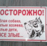 Собаки в Ясной Поляне совсем озверели. Жители утверждают, что они загрызли двух косуль. - Pryaniki.Org
