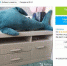 Тулячка продает акулу из IKEA за 800 тысяч рублей - Myslo.Ru