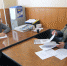 Депутат ЛДПР Илья Киндеев провел прием в штабе реготделения - ЛДПР