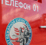 Двое мужчин погибли на пожаре в Арсеньевском районе - Молодой Коммунар