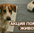 Акцию по сбору кормов для животных, прибывших из ДНР и ЛНР, объявляет Общественная палата Тульской области - Общественная палата
