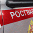 Тульские росгвардейцы задержали нарушителей общественного порядка - Росгвардия
