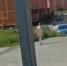 В Кимовске местные жители заметили гуляющего по городу голого мужчину - ИА Тульская служба новостей