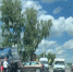 В Новомосковске легковушка въехала в ГАЗель - ТК Первый Тульский