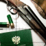 В Тульской области откроется охота на пернатую дичь - Myslo.Ru