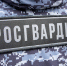 Росгвардейцы в Туле задержали мужчину, избившего незнакомца - ИА Тульская служба новостей