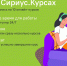 Продуктивный август на Сириус.Курсах: для тех, кто готовится к олимпиадам и просто соскучился по учёбе - Министерство образования