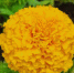 Погода в Туле 29 мая: долгожданное тепло - ГТРК