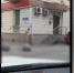 На ул. Льва Толстого в Туле заметили голого мужчину: видео - Myslo.Ru