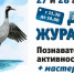 В тульском экзотариуме пройдет День журавля - Myslo.Ru