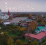 В последний день лета в музее-заповеднике «Куликово поле» отметят День лошади - ИА Тульская служба новостей