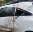 В Алексине водитель Opel Corsa съехала в кювет и врезалась в дерево - ИА Тульская служба новостей
