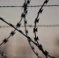 В Тульской области женщина пыталась пронести в колонию сим-карту и получила штраф - ИА Тульская пресса.Ru