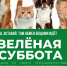Туляков приглашают на благотворительную акцию в пользу животных - ТК Первый Тульский