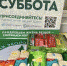 Туляки собрали 30 килограмм сухого корма и крупу безнадзорным животным в приют - ИА Тульская служба новостей