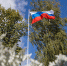 В Совфеде поддержали законы о принятии в состав России ДНР, ЛНР, Херсонской и Запорожской областей - ИА Тульская служба новостей