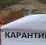 В одном из сёл Большой Тулы ввели карантин - Myslo.Ru