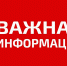 Осторожно, дети: с начала года в Тульской области произошло 166 ДТП с участием несовершеннолетних - ГИБДД