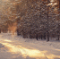 В России предстоящая зима будет холоднее предыдущей - ИА Тульская пресса.Ru