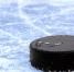 shayba - Tula-Sport.Ru
