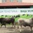 Увеличить - ТПП