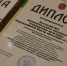 Вручены награды победителям смотра-конкурса на лучшую постановку культурно-досуговой работы с молодежью - Объединение центров развития культуры