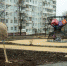 На Молодежном бульваре начали сажать деревья - Myslo.Ru