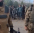 «Самый ответственный защитник»: туляк отправился в зону СВО, взяв с собой верного пса - ИА Тульская пресса.Ru