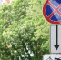 В Туле 5 декабря ограничат движение транспорта из-за празднования 81-й годовщины обороны Тулы - ИА Тульская пресса.Ru