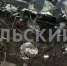 В центре Тулы экскаватором раскопали крысиную нору: видео - ТК Первый Тульский